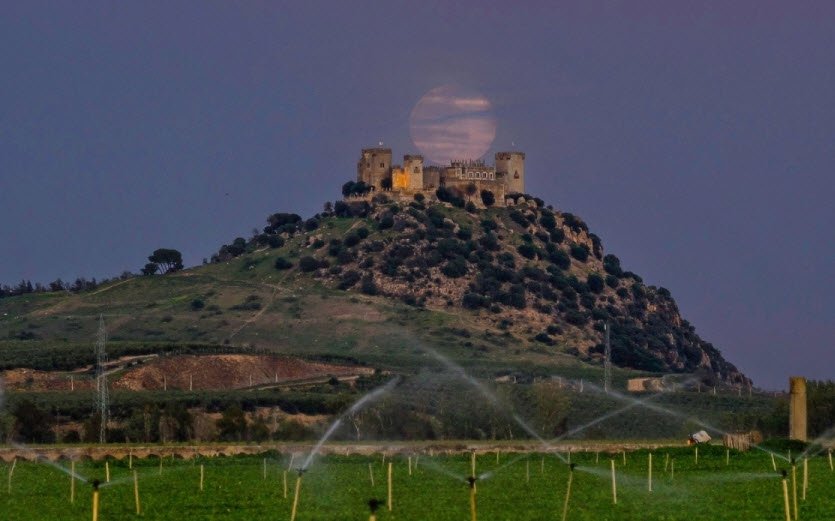 Castillo de Olmos, Spain